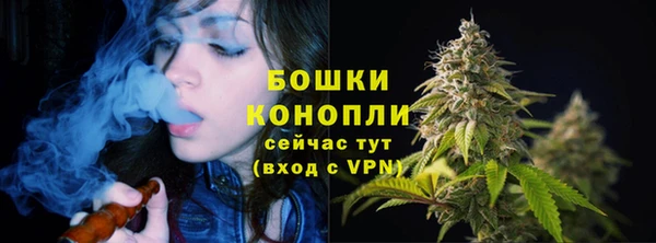 ПСИЛОЦИБИНОВЫЕ ГРИБЫ Волосово