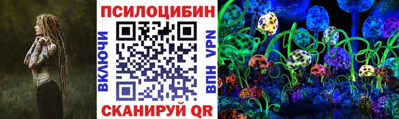 kraken ONION  Дивногорск  Псилоцибиновые грибы GOLDEN TEACHER  цена  